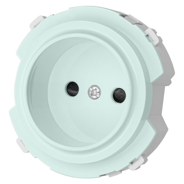 Розетка TDM Байкал 2П 16А 250В шторки фисташковый