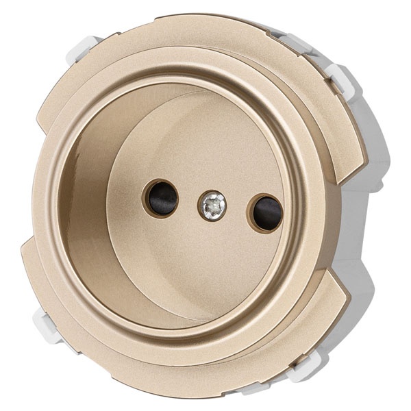 Розетка TDM Байкал 2П 16А 250В шторки шампань