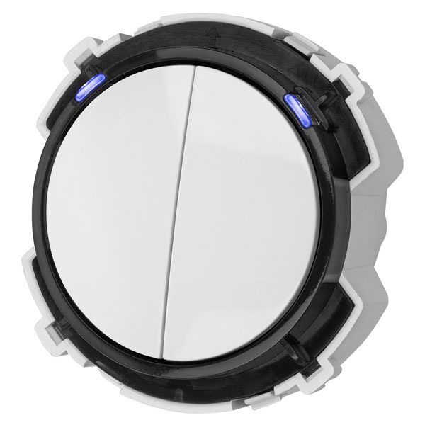 Кнопочный выключатель двухклавишный TDM Байкал 16А 250В белый