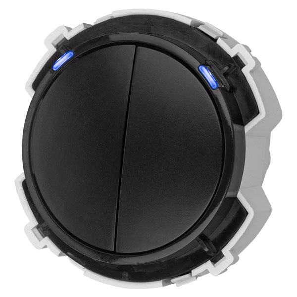 Кнопочный выключатель двухклавишный TDM Байкал 16А 250В агат