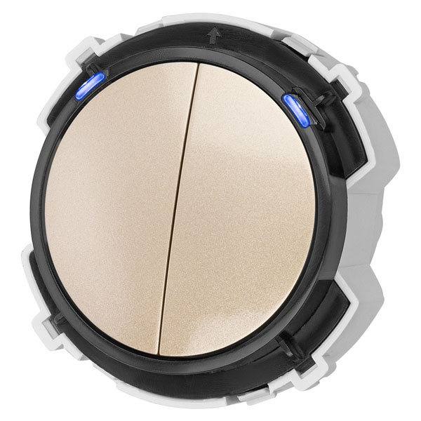 Кнопочный выключатель двухклавишный TDM Байкал 16А 250В шампань