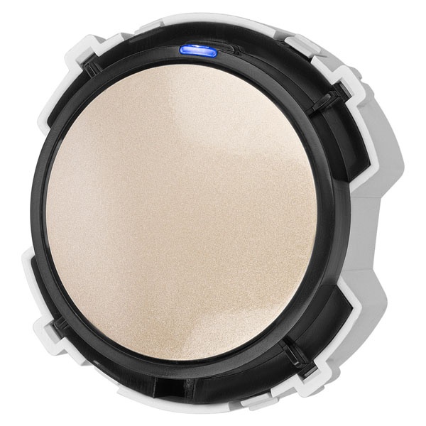 Кнопочный переключатель одноклавишный TDM Байкал 16А 250В шампань