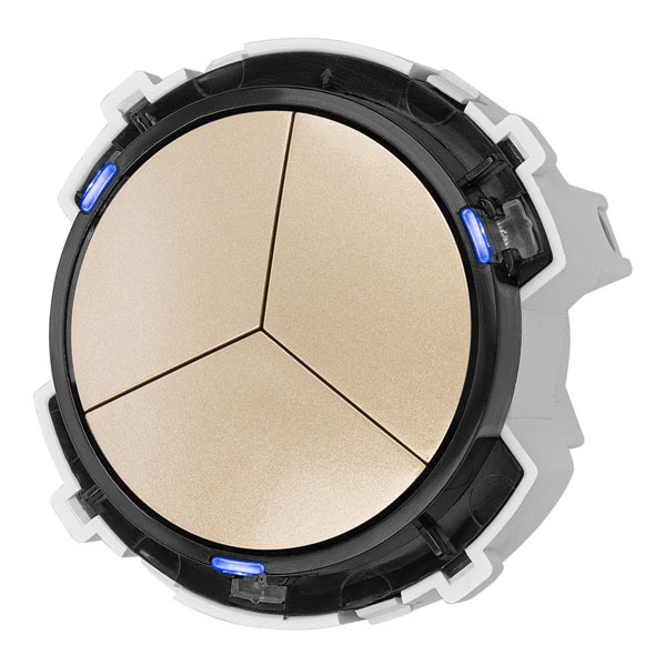 Кнопочный переключатель трехклавишный TDM Байкал 16А 250В шампань