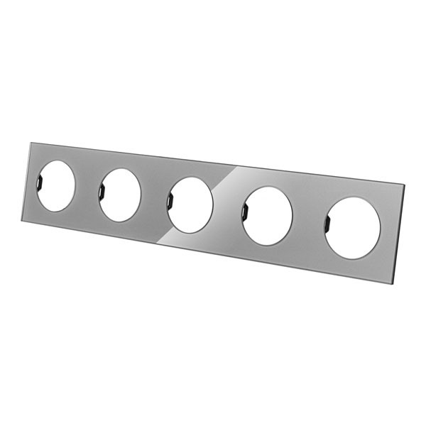 Рамка пятипостовая TDM Байкал платина стекло