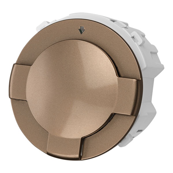 Выключатель карточный TDM Байкал 250В 8кВт бронза