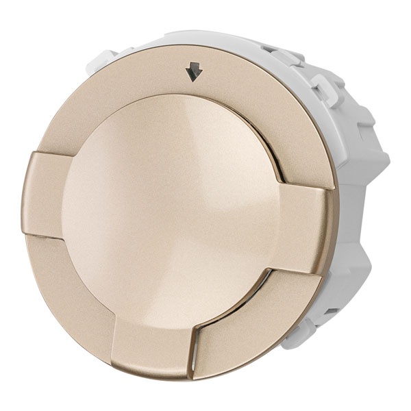 Выключатель карточный TDM Байкал 250В 8кВт шампань