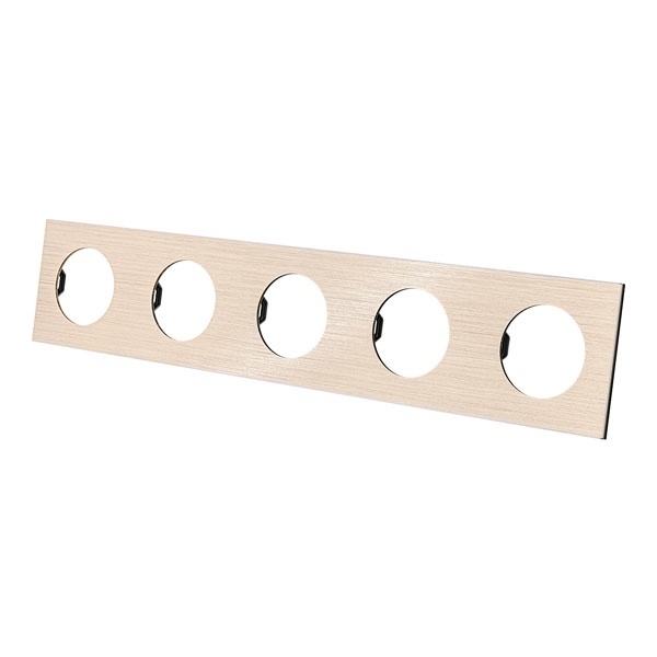 Рамка пятипостовая TDM Байкал шампань алюминий шлифованный