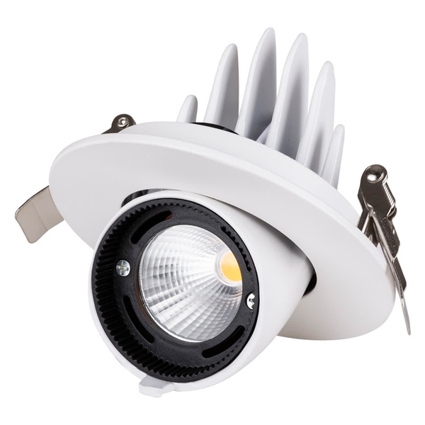 Светильник светодиодный Downlight TDM Акцент-1 LED DSL-01-018-WW 18W 3000K 24° IP40 поворотный