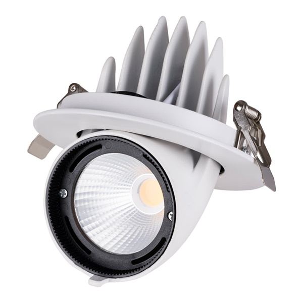 Светильник светодиодный Downlight TDM Акцент-1 LED DSL-01-030-WW 30W 3000K 24° IP40 поворотный