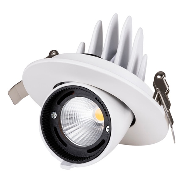 Светильник светодиодный Downlight TDM Акцент-1 LED DSL-01-018-NW 18W 4000K 24° IP40 поворотный