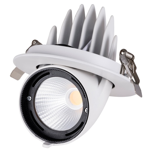 Светильник светодиодный Downlight TDM Акцент-1 LED DSL-01-030-NW 30W 4000K 24° IP40 поворотный