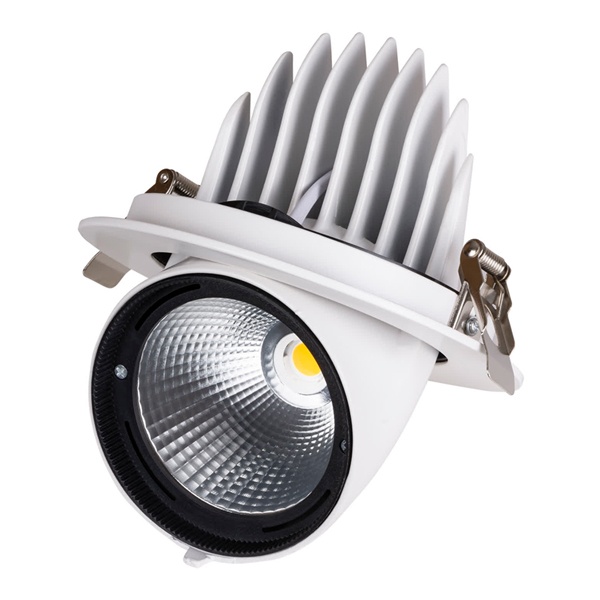 Светильник светодиодный Downlight TDM Акцент-1 LED DSL-01-040-NW 40W 4000K 24° IP40 поворотный