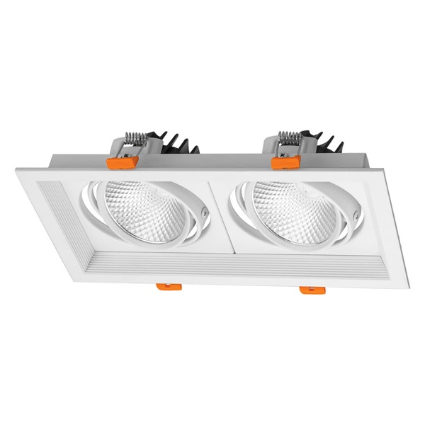 Светодиодный светильник карданный TDM Фокус-1 LED CSL-01-2x11-NW 22W 4000K 35° IP20 встраиваемый