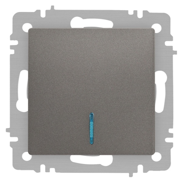 Выключатель одноклавишный с подсветкой Intro Accent 10А-250В IP20 титан 6-102-09