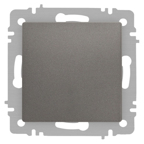 Переключатель одноклавишный Intro Accent 10А-250В IP20 титан 6-103-09