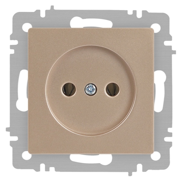 Розетка Intro Accent 2Р 16А-250В IP20 шампань 6-201-04