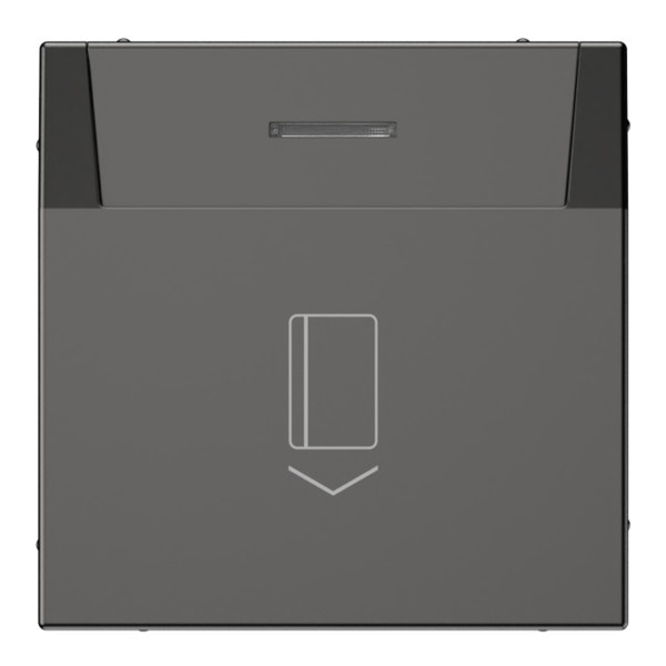 Выключатель карточный SE ArtGallery 10А без задержки времени автозажим базальт