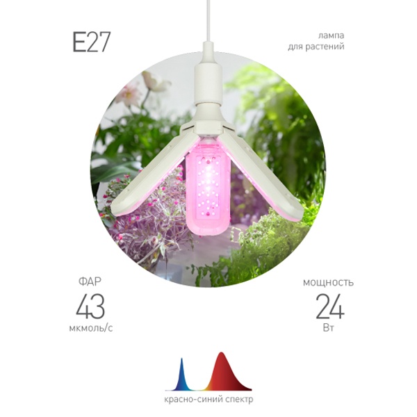 Лампа светодиодная для растений ЭРА FITO 24W RB E27 FOLD 3-х лепестковая красно-синего спектра