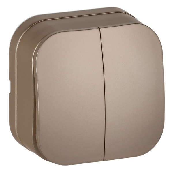 Накладной выключатель 2-клавишный ИЭК GLORY 10А ВС20-2-0-ХШм шампань матовый