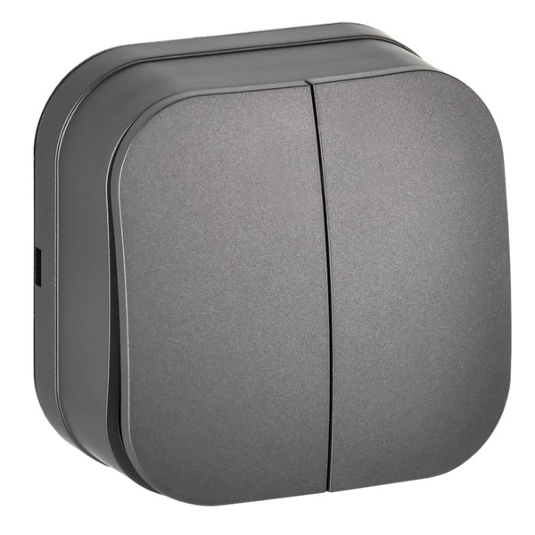 Накладной выключатель 2-клавишный ИЭК GLORY 10А ВС20-2-0-ХСм сталь матовый