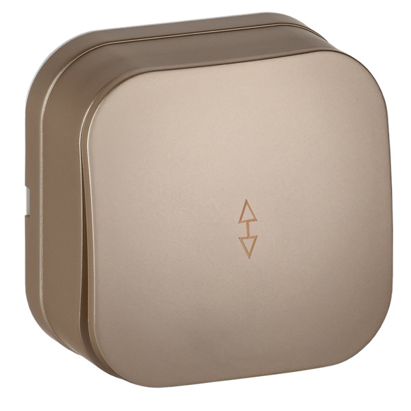 Накладной переключатель 1-клавишный ИЭК GLORY 10А ВСп10-1-0-ХШм шампань матовый