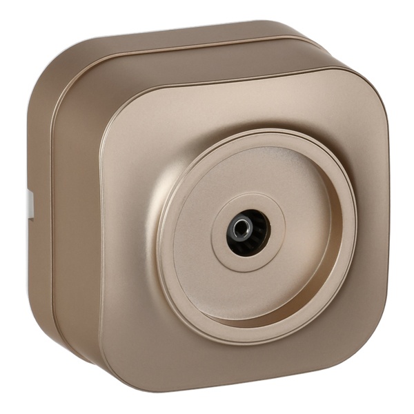 Накладная розетка телевизионная ИЭК GLORY РТВ20-ХШм шампань матовый