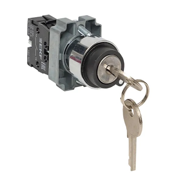 Переключатель в сборе EKF BG21 с замком 22мм 2 фиксированных положения 1NO IP40