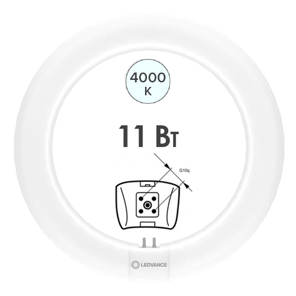 Лампа светодиодная кольцевая Ledvance LED Tube T9 (22W) 11W 4000K G10q 1320Lm D212mm (ЭмПРА-220V)