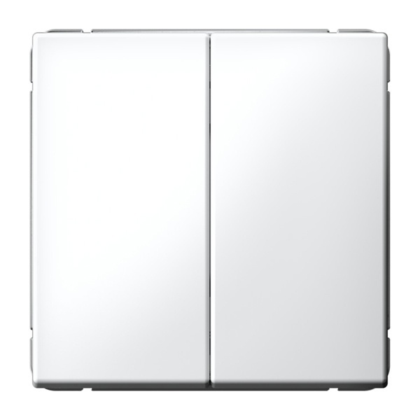 Двухклавишный выключатель SE ArtGallery 10А быстрозажимные клеммы белый