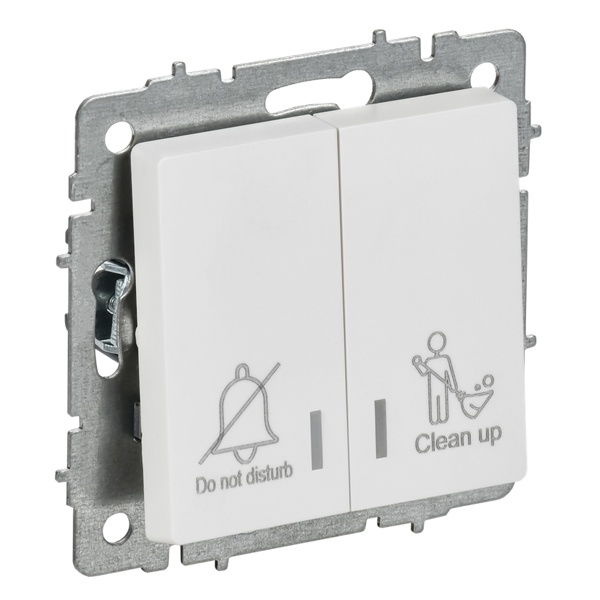 Выключатель 2-клавишный ИЭК BRITE с индикацией для отелей 10А арктический белый (ВС10-2-9-БрАБ)