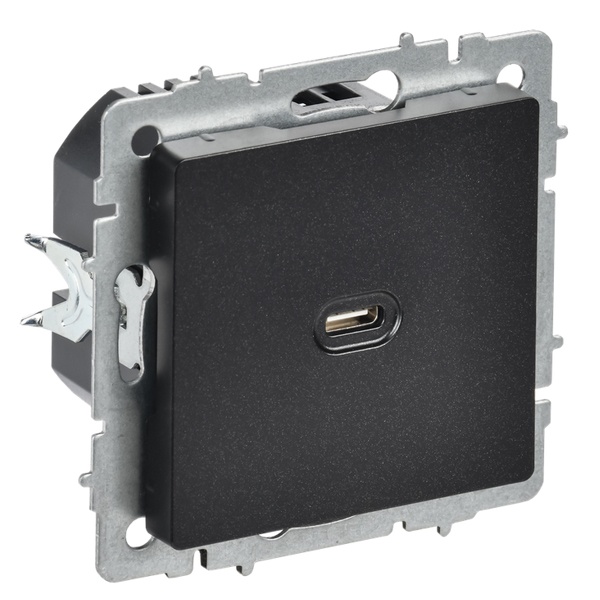 Зарядка высокоскоростная ИЭК BRITE USB С 65Вт черный (РЮ12-1-БрЧ)