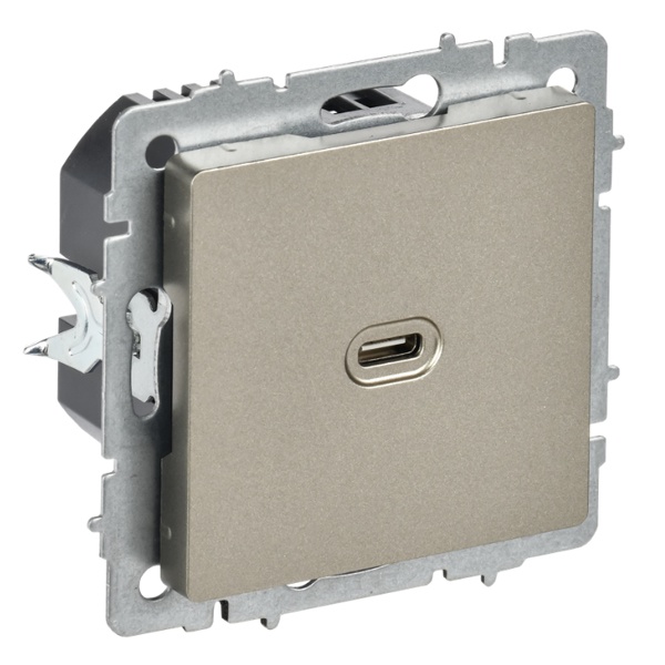 Зарядка высокоскоростная ИЭК BRITE USB С 65Вт шампань (РЮ12-1-БрШ)