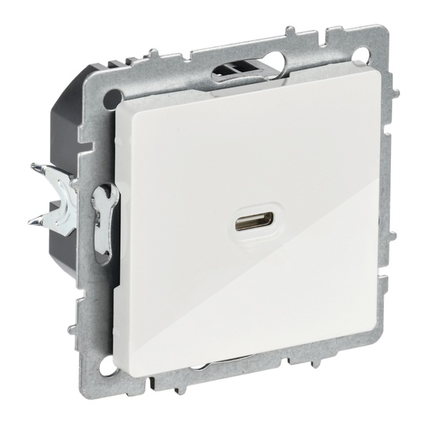 Зарядка высокоскоростная ИЭК BRITE USB С 65Вт белый (РЮ12-1-БрБ)