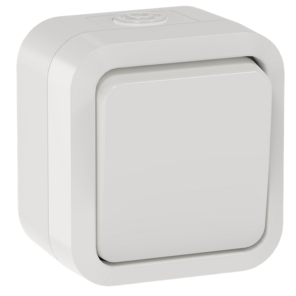 Выключатель двухполюсный 1-клавишный ИЭК TORS TS311 10А IP55 белый