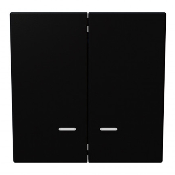 Выключатель двухклавишный c индикацией Jasmart FD 10A, черный матовый (soft touch)