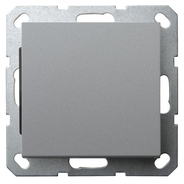 Выключатель одноклавишный проходной Jasmart G 10A, алюминий