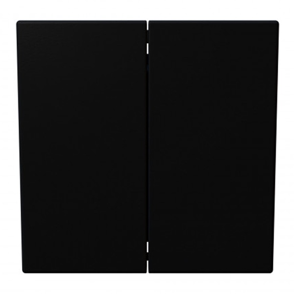 Двухклавишный кнопочный переключатель Jasmart FD 10A, черный матовый (soft touch)