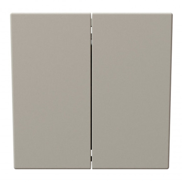 Двухклавишный кнопочный переключатель Jasmart FD 10A, Сахара