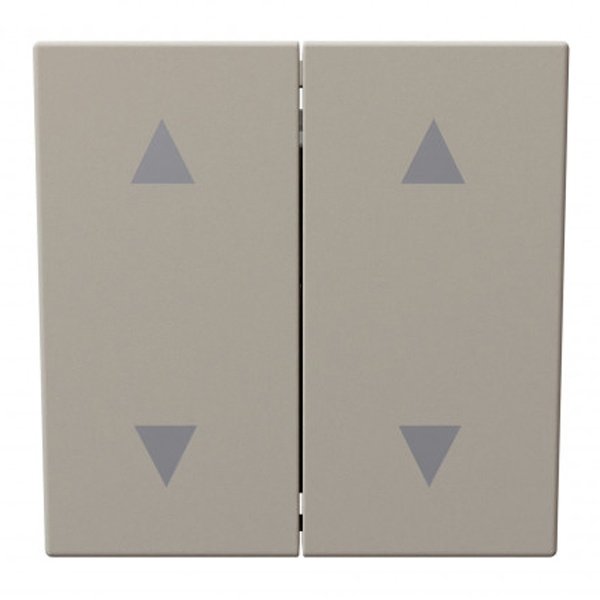 Выключатель двухклавишный для штор Jasmart FD 10A, Сахара