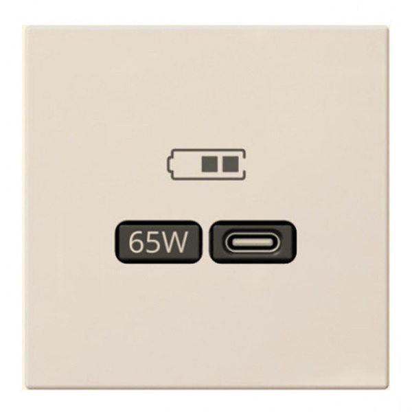 USB зарядка Jasmart G 65Вт тип С и тип А, 220-240В, шампань