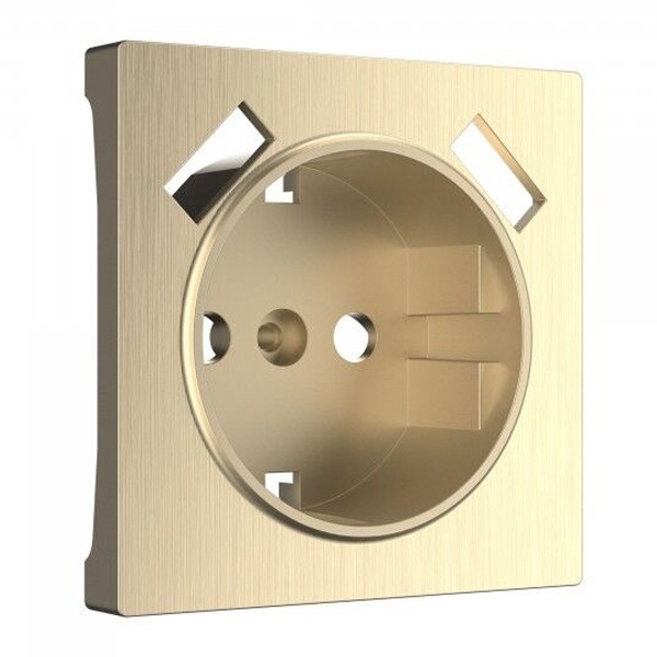 Накладка для розетки USB Werkel шампань рифленый