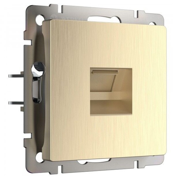 Розетка Ethernet RJ-45 Werkel шампань рифленый