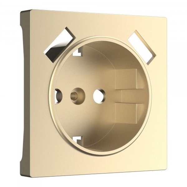 Накладка для розетки USB Werkel шампань