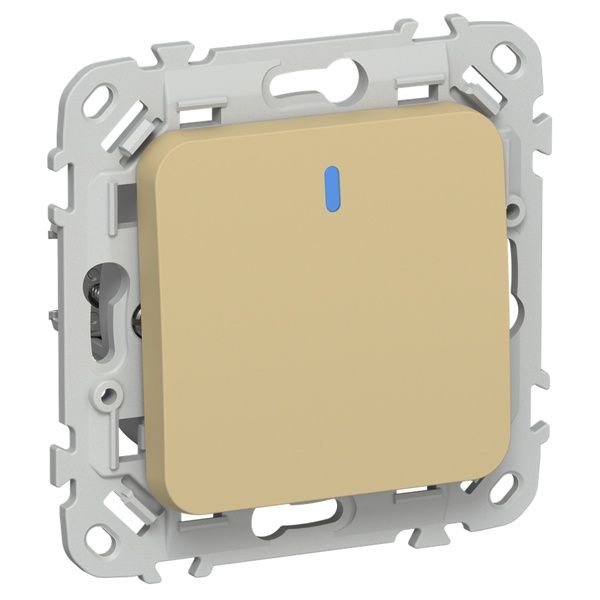 Выключатель одноклавишный с индикацией ИЭК FLITE ВС11-1-1-ФлШм 10А шамуа