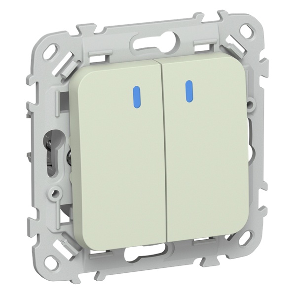 Переключатель двухклавишный с индикацией ИЭК FLITE ВС62-1-1-ФлП 10А панг