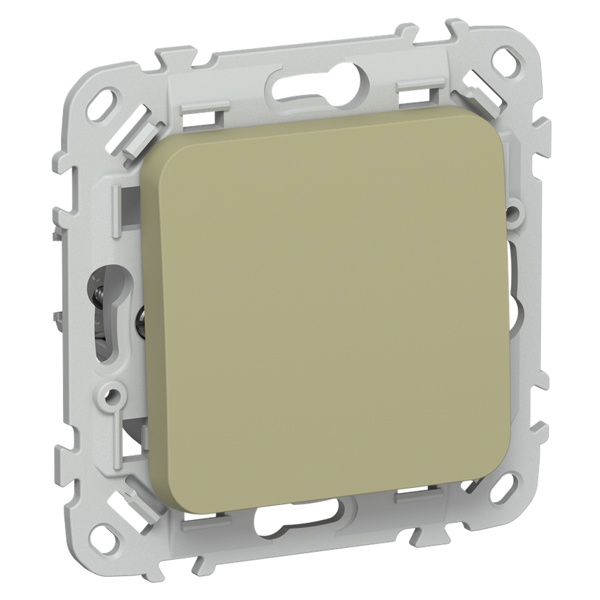 Переключатель перекрестный одноклавишный ИЭК FLITE ВС71-1-0-ФлО 10А оливковый
