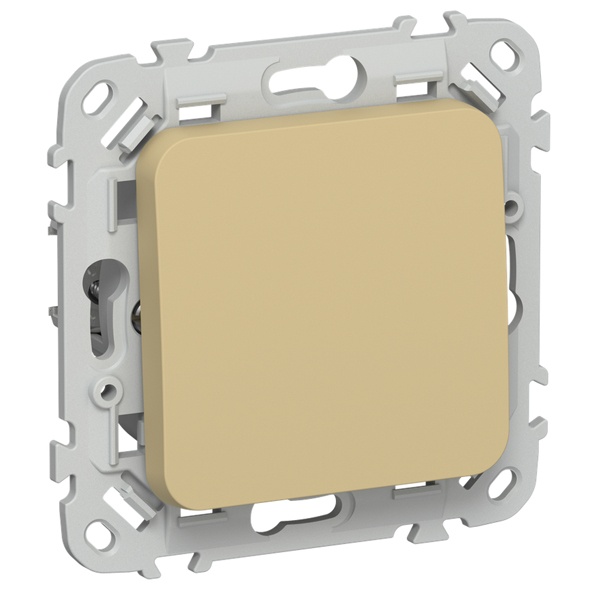 Выключатель кнопочный одноклавишный ИЭК FLITE ВС11-2-0-ФлШм 10А шамуа