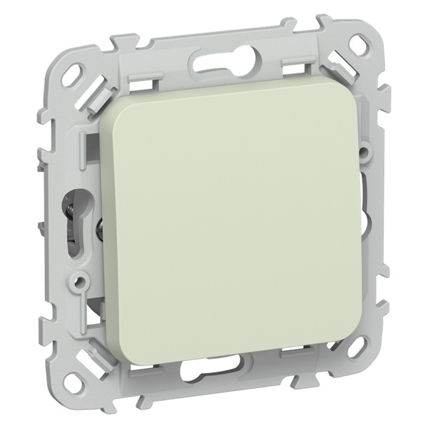 Выключатель кнопочный одноклавишный ИЭК FLITE ВС11-2-0-ФлП 10А панг