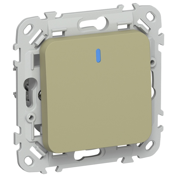 Выключатель кнопочный одноклавишный с индикацией ИЭК FLITE ВС11-2-1-ФлО 10А оливковый
