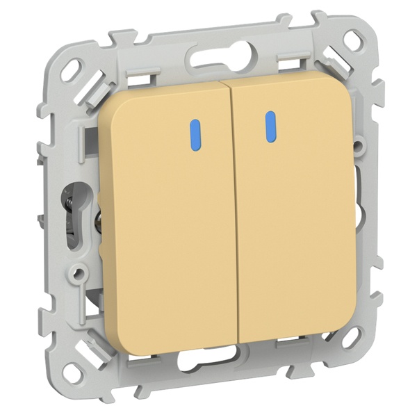 Выключатель кнопочный двухклавишный с индикацией ИЭК FLITE ВС12-2-1-ФлЗ 10А золотарник